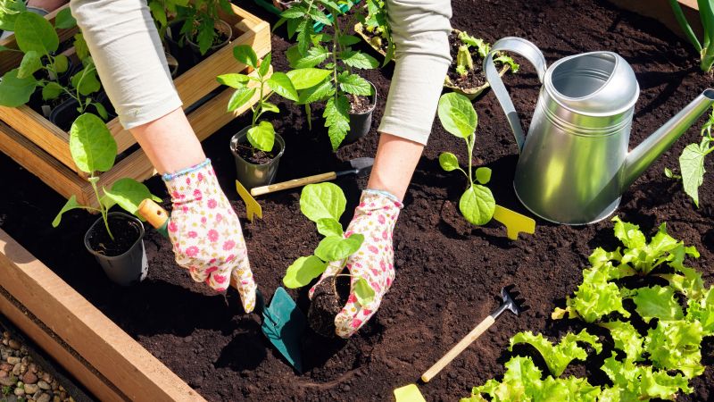Inside a Garden Bed