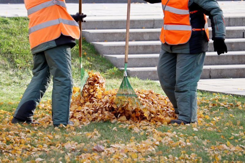 Leaf Removal Service